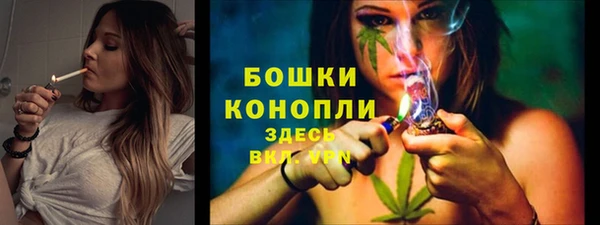 эйфоретик Валдай