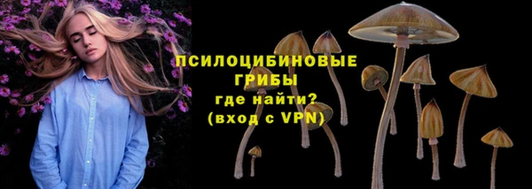 Альфа ПВП Видное