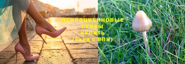 мяу мяу мука Бутурлиновка