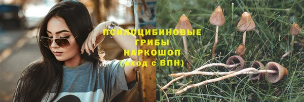 Альфа ПВП Видное