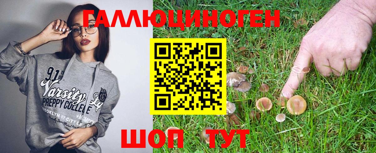 Галлюциногенные грибы Psilocybine cubensis  Вязьма  Псилоцибиновые грибы Psilocybe 