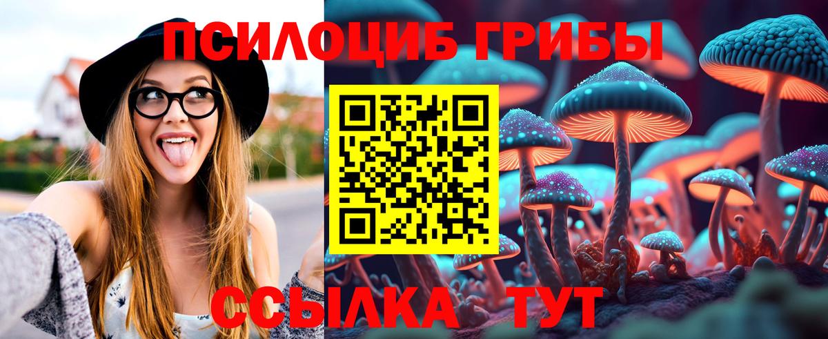 Вязьма  Галлюциногенные грибы Cubensis  Вход с VPN 