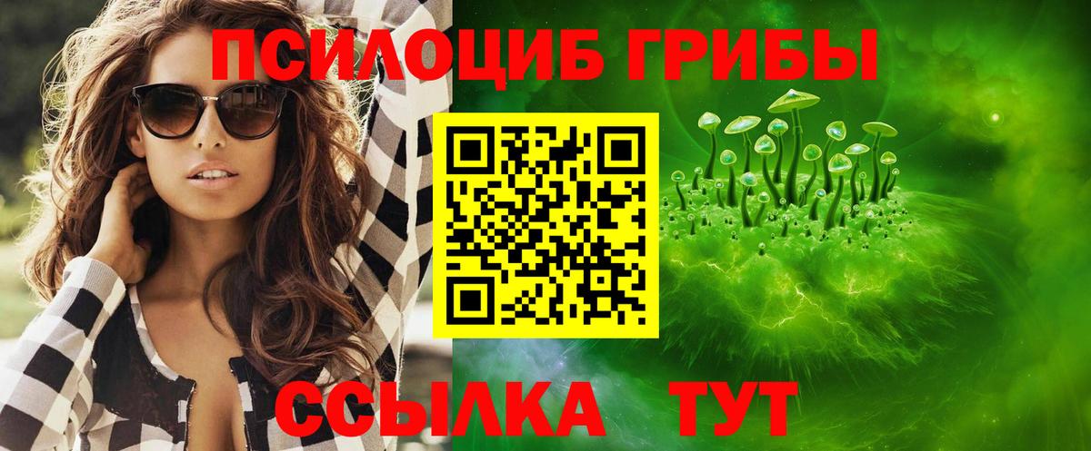 Галлюциногенные грибы прущие грибы Вязьма